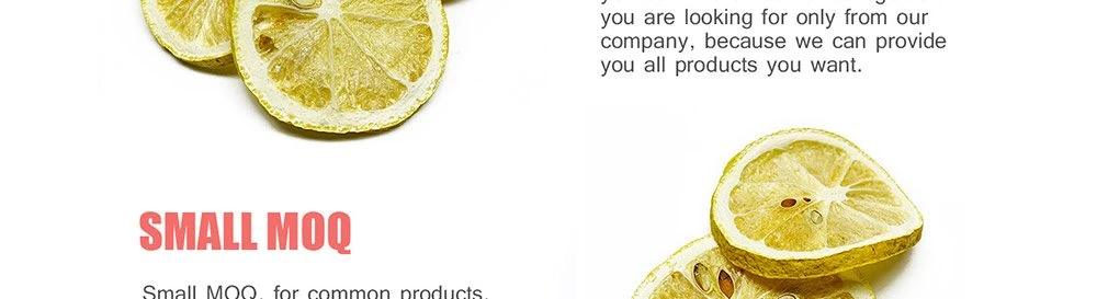 product-1000-273 China freeze dried lemon Slices factory.jpg