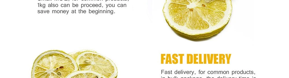 product-1000-272 freeze dried lemon Slices made in China.jpg