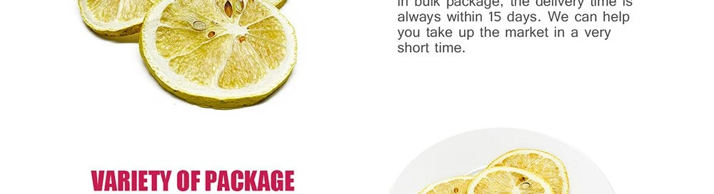 product-1000-272 freeze dried lemon Slices suppliers.jpg