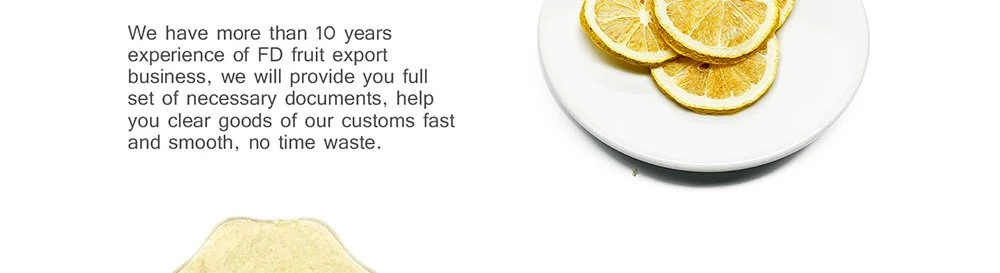product-1000-273 wholesale freeze dried lemon Slices.jpg