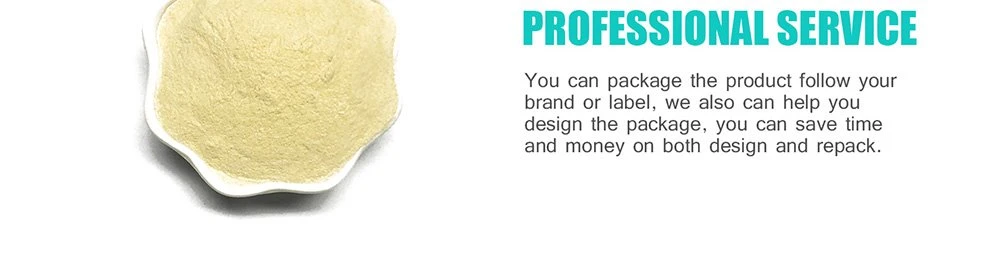 buy freeze dried lemon Slices.jpg buy freeze dried lemon Slices.jpg